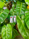 Elegant Silver 925 Earrings with Carnelian Stone Center